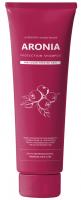 ������� ��� ����� ������ Institute-beaut Aronia Color Protection Shampoo, 100 ��