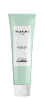 ������� ��� ����� ������� Ayurvedic Scalp Solution Black Cumin Shampoo, 100 ��